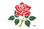 Lancashire Women