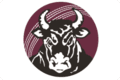 Queensland Bulls