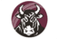 Queensland Bulls