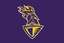 Los Angeles Knight Riders