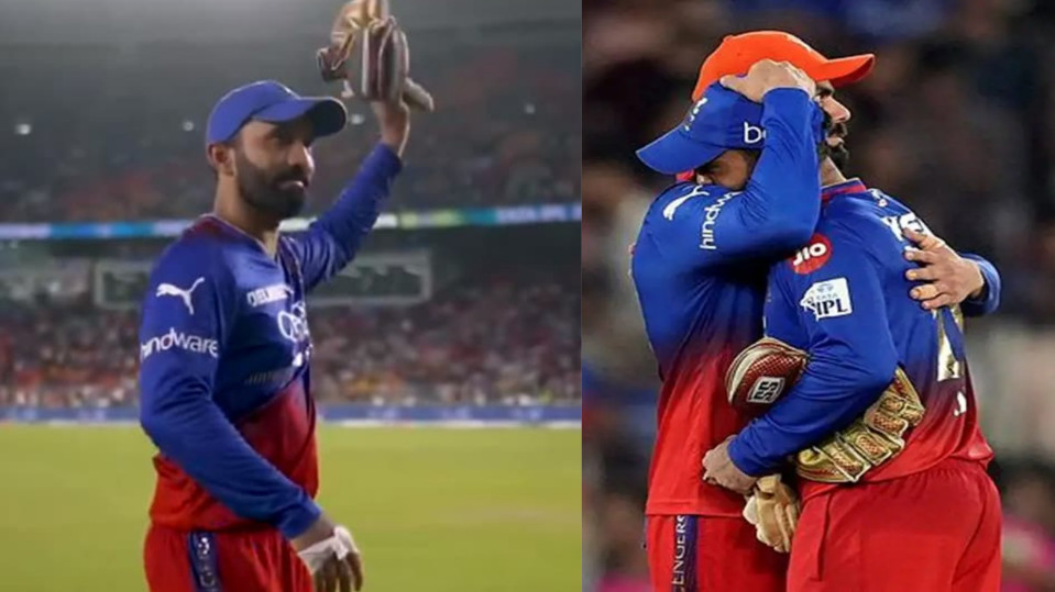 Dinesh Karthik said Goodbye to IPL after playing for Almost 14 years