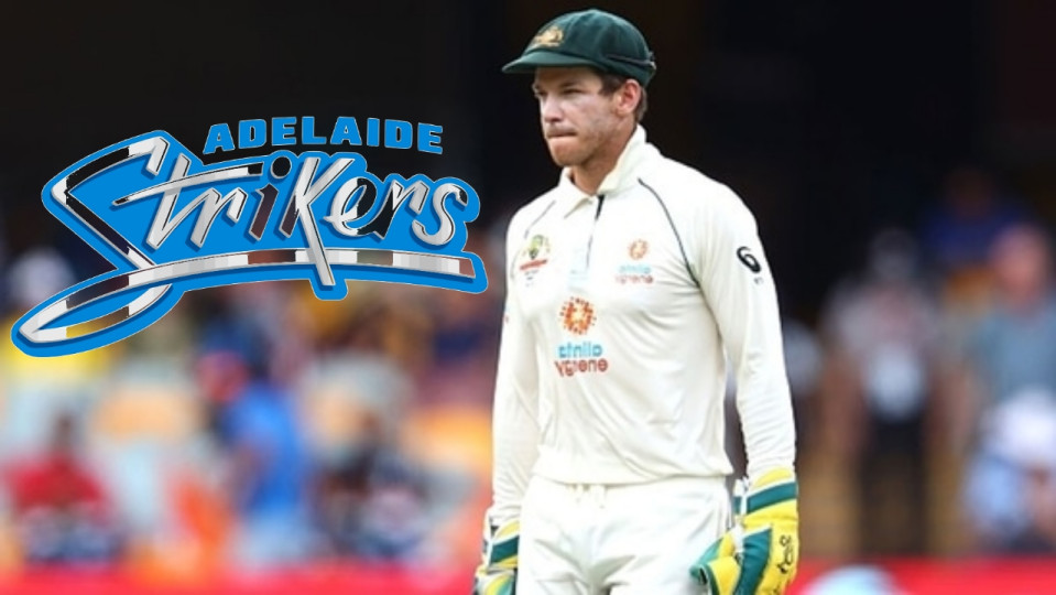 Former Australia Captain Tim Paine Appointed Coach of Adelaide Strikers in BBL