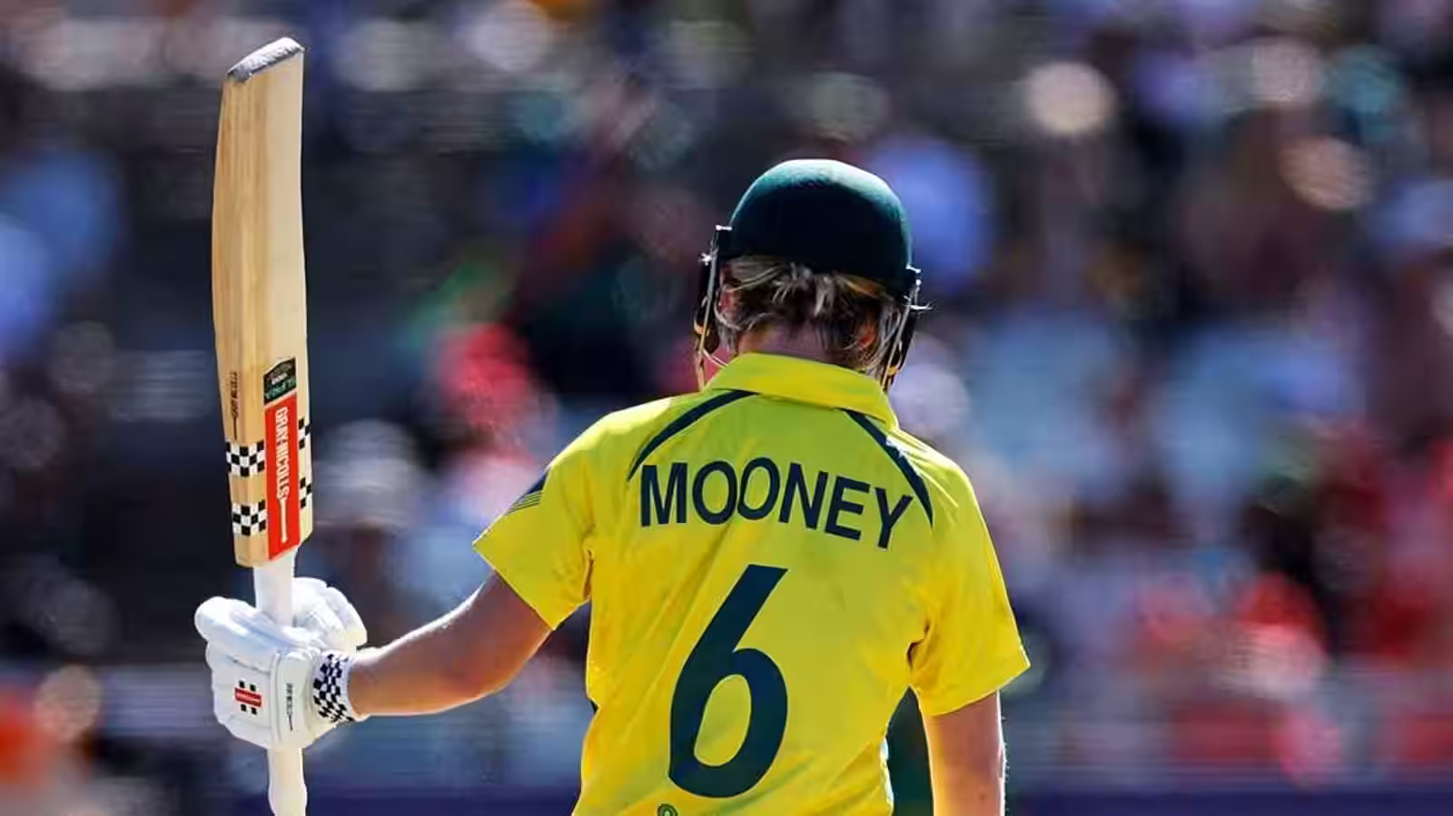 <p>WPL 2023: Beth Mooney has been appointed Gujarat Giants' captain.</p>
