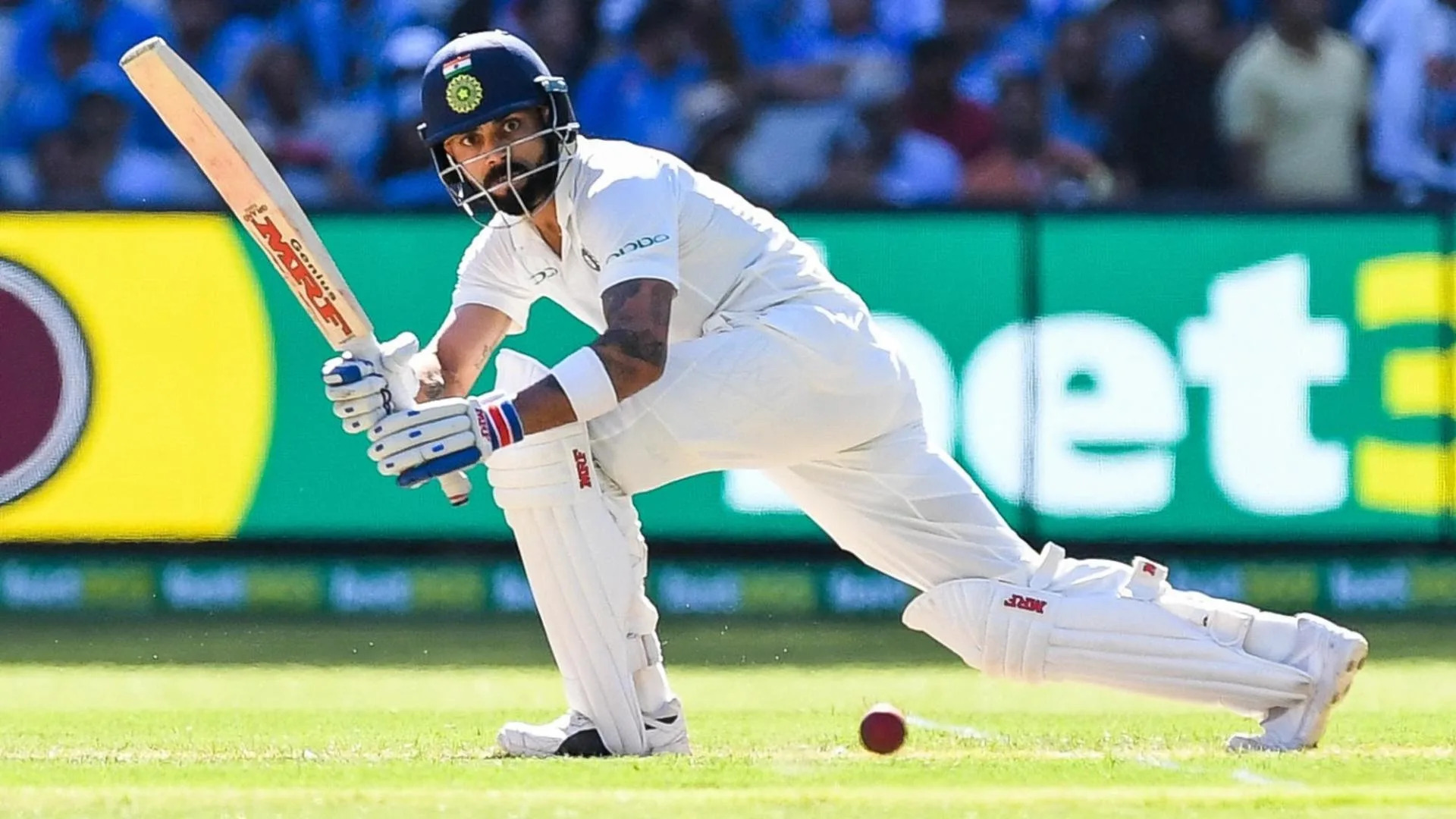 <p>India vs Australia: Virat Kohli is a world-class player, and he didn't offer us a chance, according to Alex Carey.</p>
