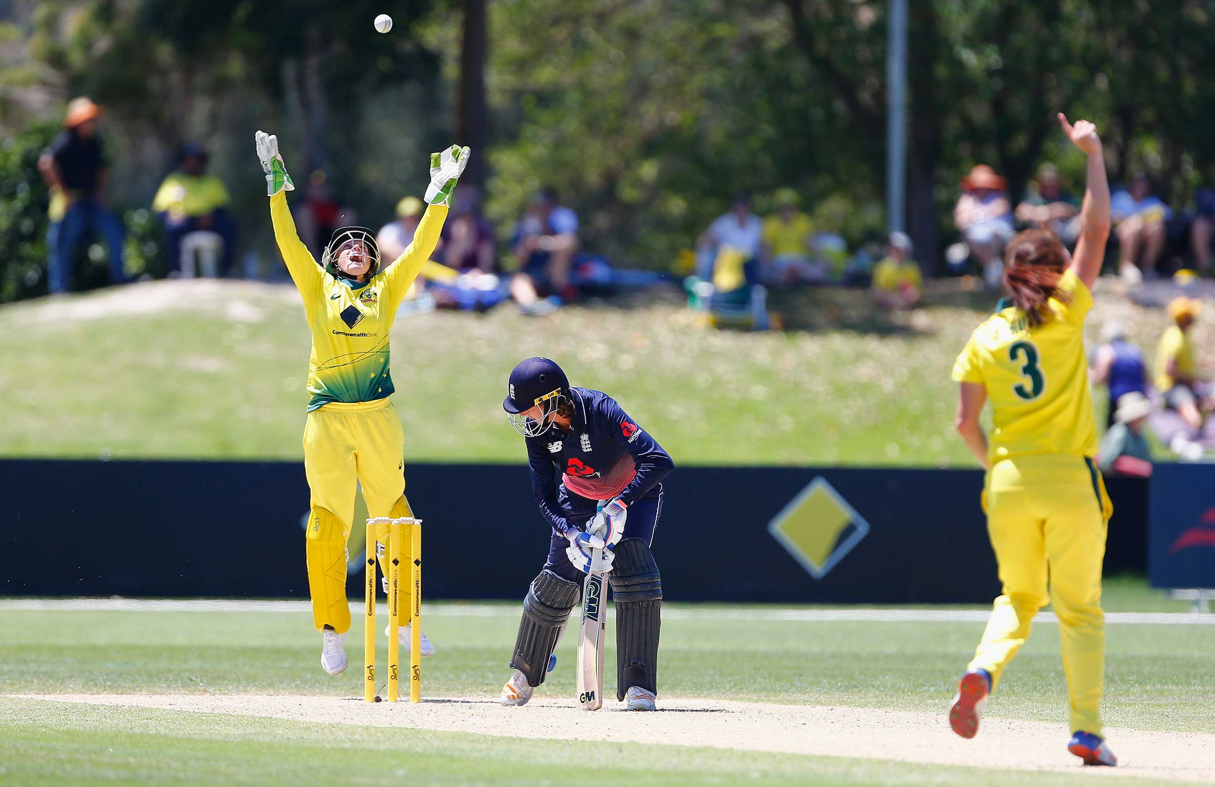 Alyssa Healy explains 'funky' stumping