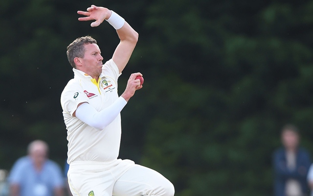 Ashes 2019: Peter Siddle hits out at Steve Harmison for his 'cheat' comment on Steve Smith - CricTracker