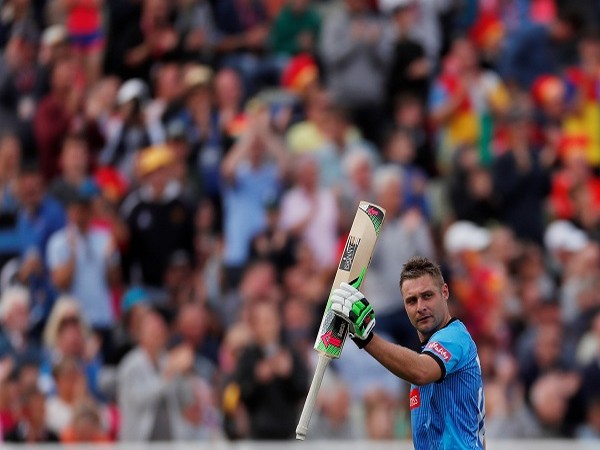 Auckland Cricket appoints Luke Wright as performance and talent coach
