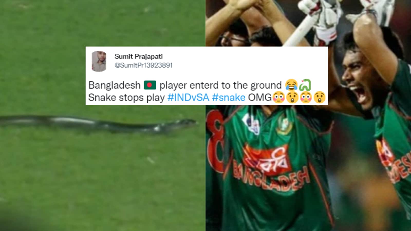 Bangladeshi Player? A Snake Gatecrashed India vs South Africa T20I and Twitter Went Hisssterical