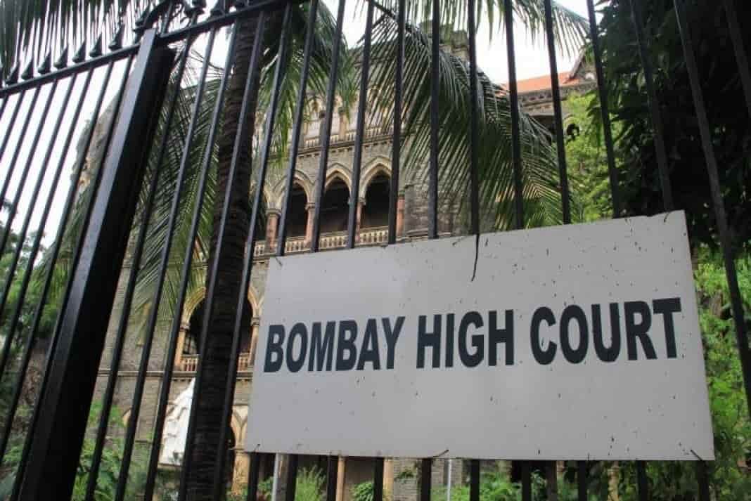 BCCI, MCA must provide basic facilities at public grounds to budding cricketers: Bombay HC