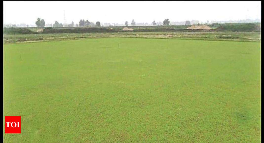 Both groups again promise completing stadium project | Vadodara News - Times of India