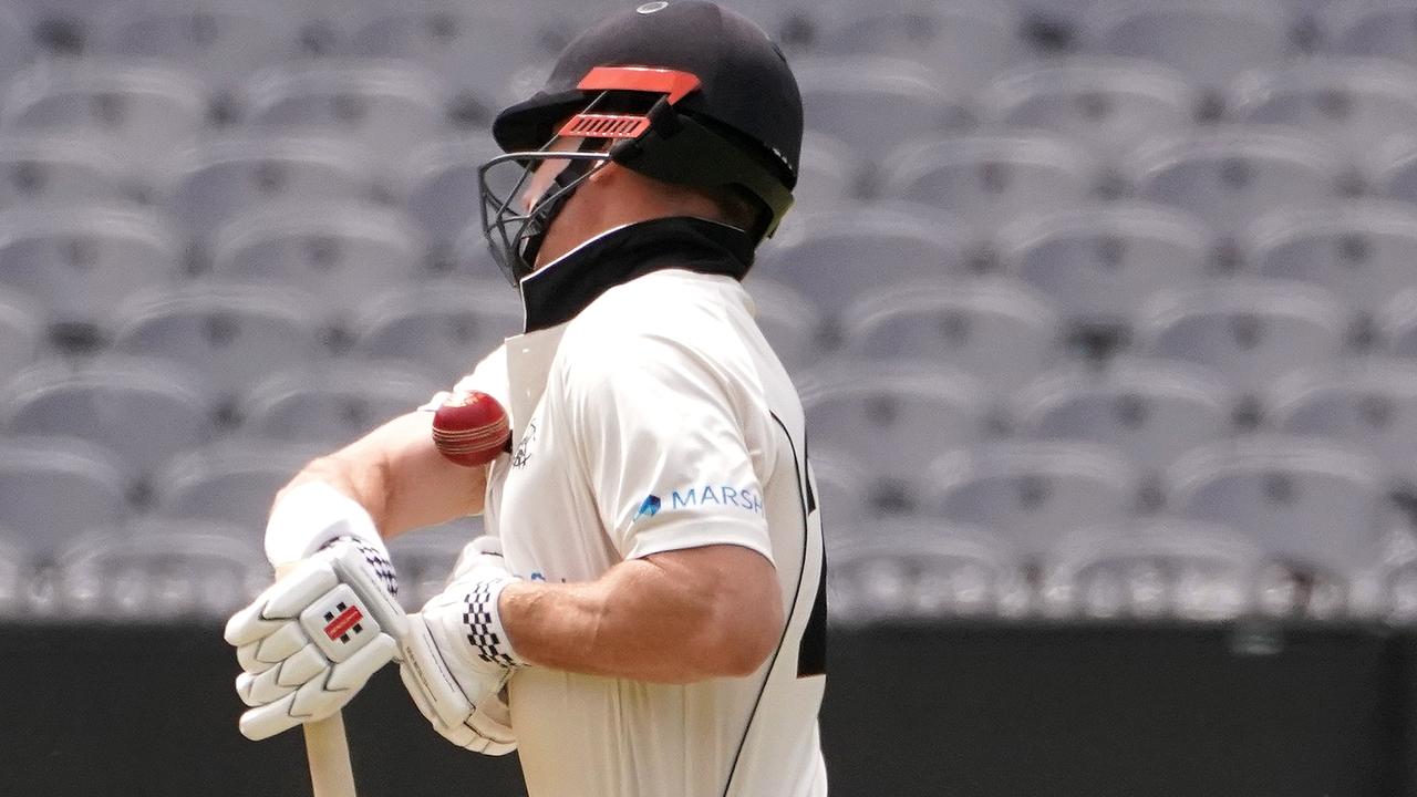 Cricket 2019: Play suspended, Shaun Marsh hit, Marcus Stoinis, Western Australia vs Victoria, MCG