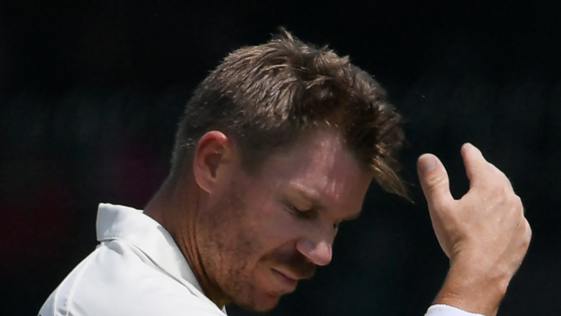 Cricket Australia CEO disappointed Warner withdrew leadership appeal