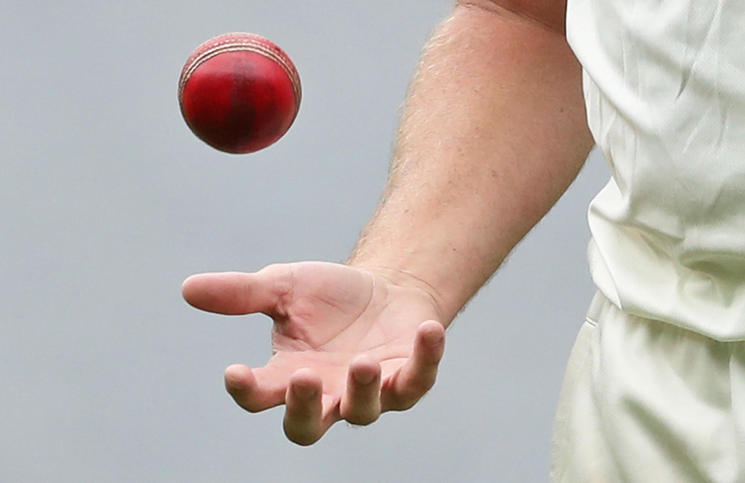 Cricket Australia to test disinfectant on match balls