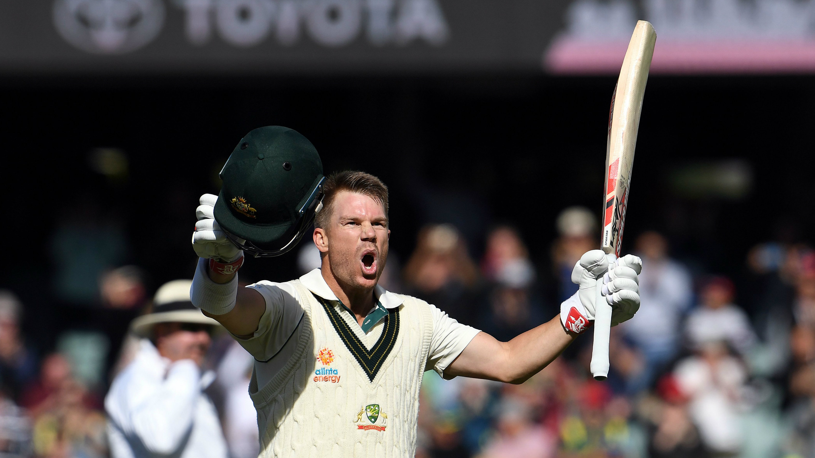 David Warner 300: Australian opener breaks Don Bradman's record at Adelaide Oval