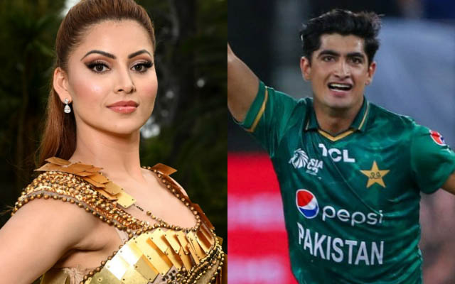 'Don't know who Urvashi Rautela is' - Naseem Shah on viral video shared by Bollywood actress