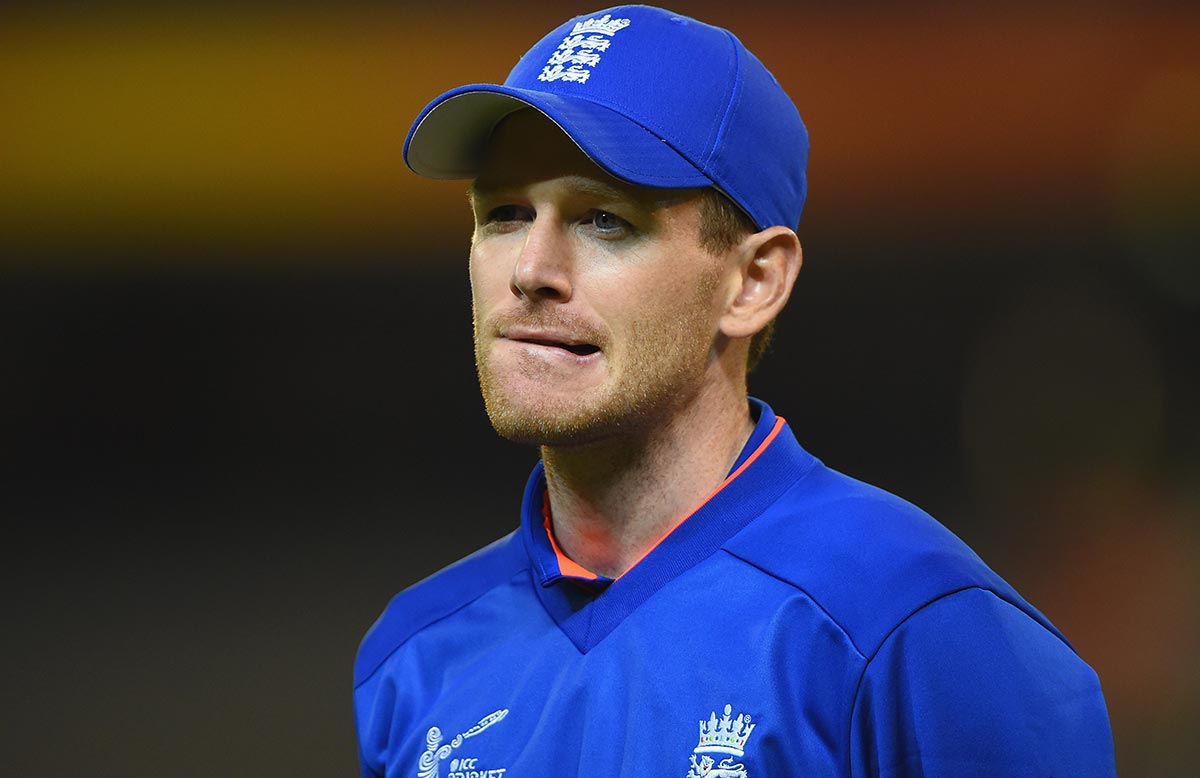 Embrace 100-ball plan or cricket 'will die'