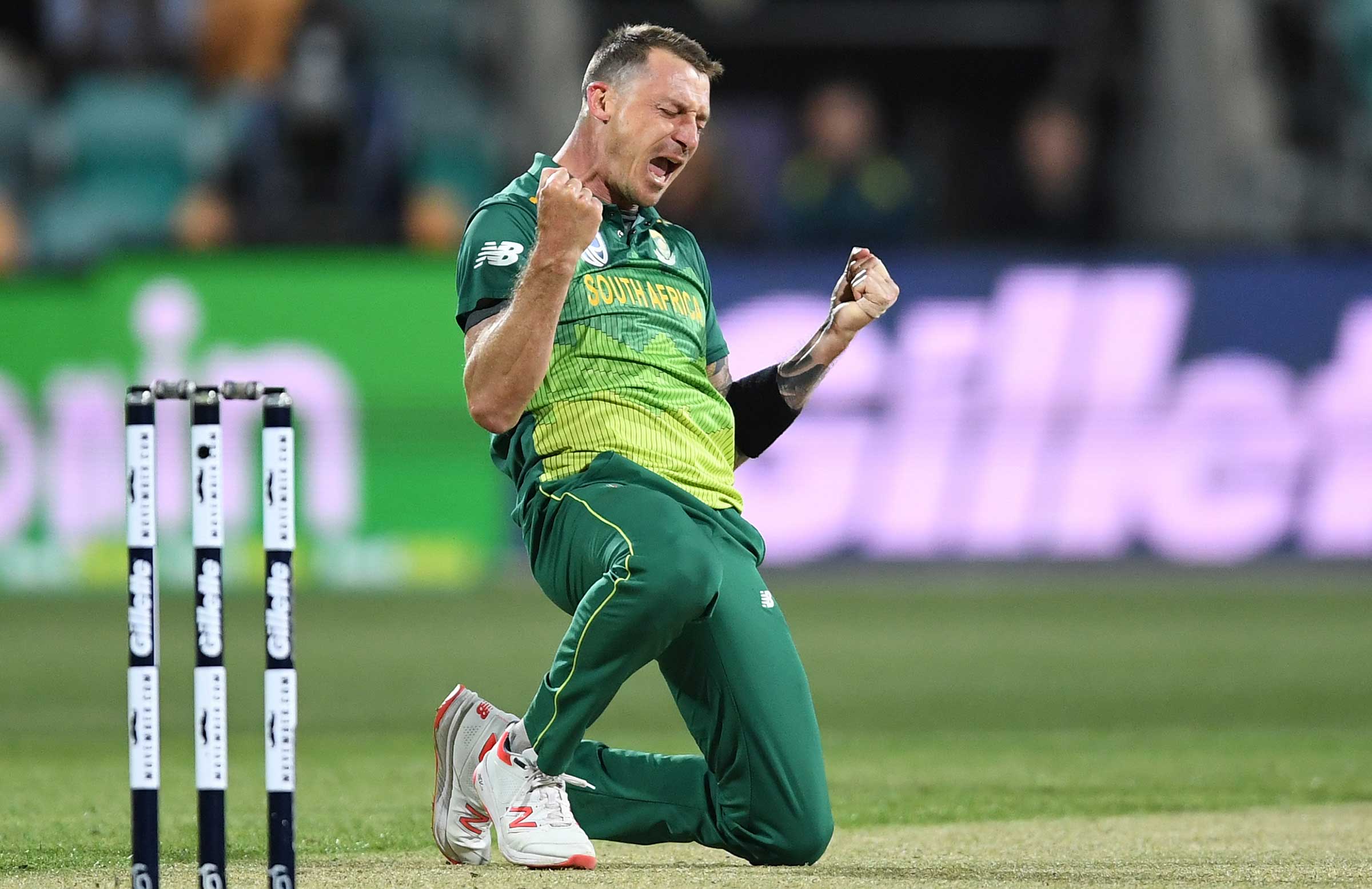 Fast bowling 'fan' Steyn ponders future