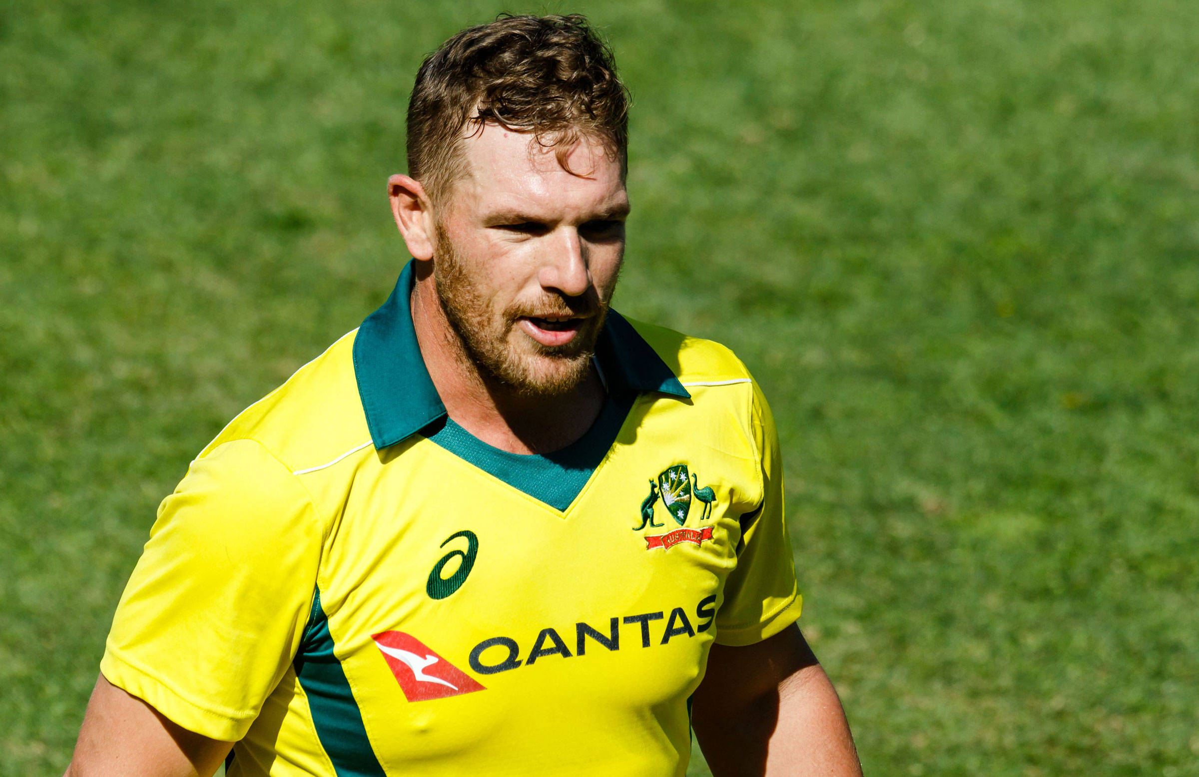 Finch bemoans 'car crash' collapse