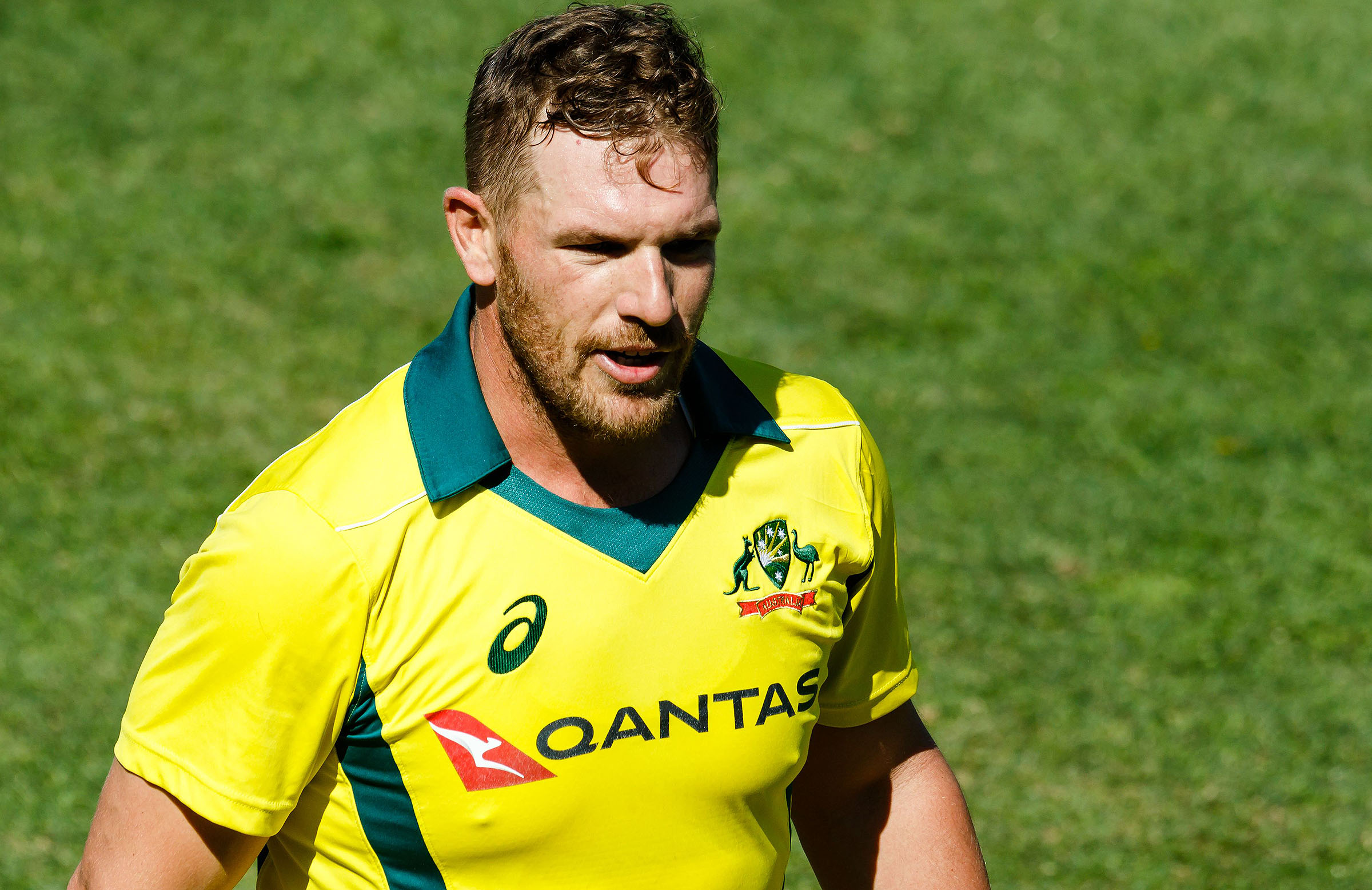 Finch crowned No.1 T20 batsman
