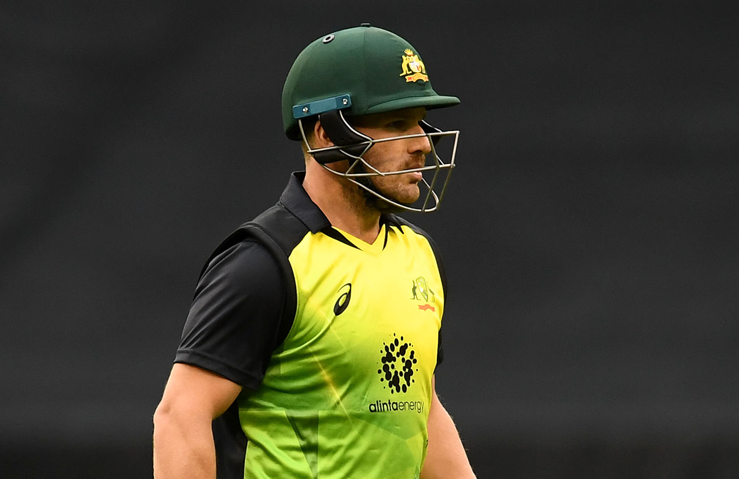 Form a fickle business for Finch