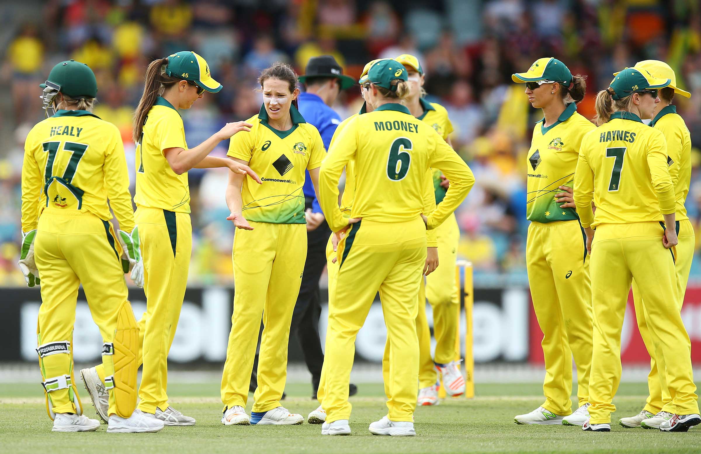 Haynes disappointed with Aussie effort