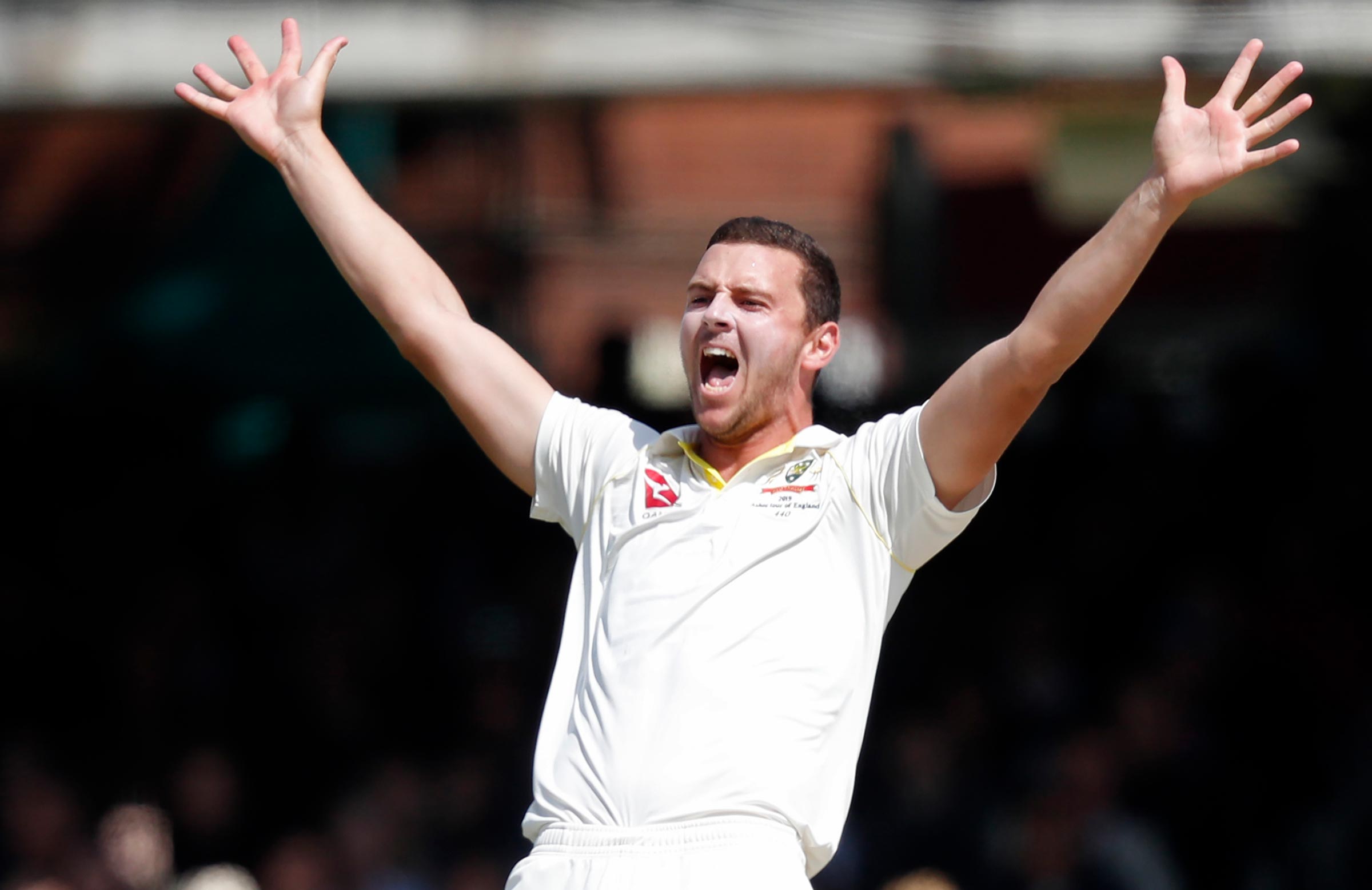 Hazlewood's plan to shake-up DRS use for Test cricket