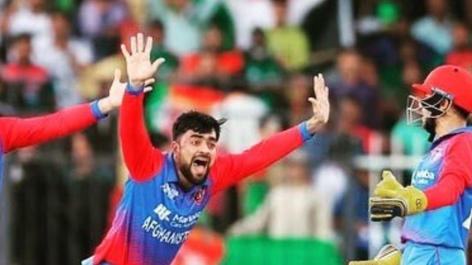 ICC T20I Rankings: Rashid Khan Rises to No. 2 Bowling Charts After 3-wicket Haul Against Bangladesh