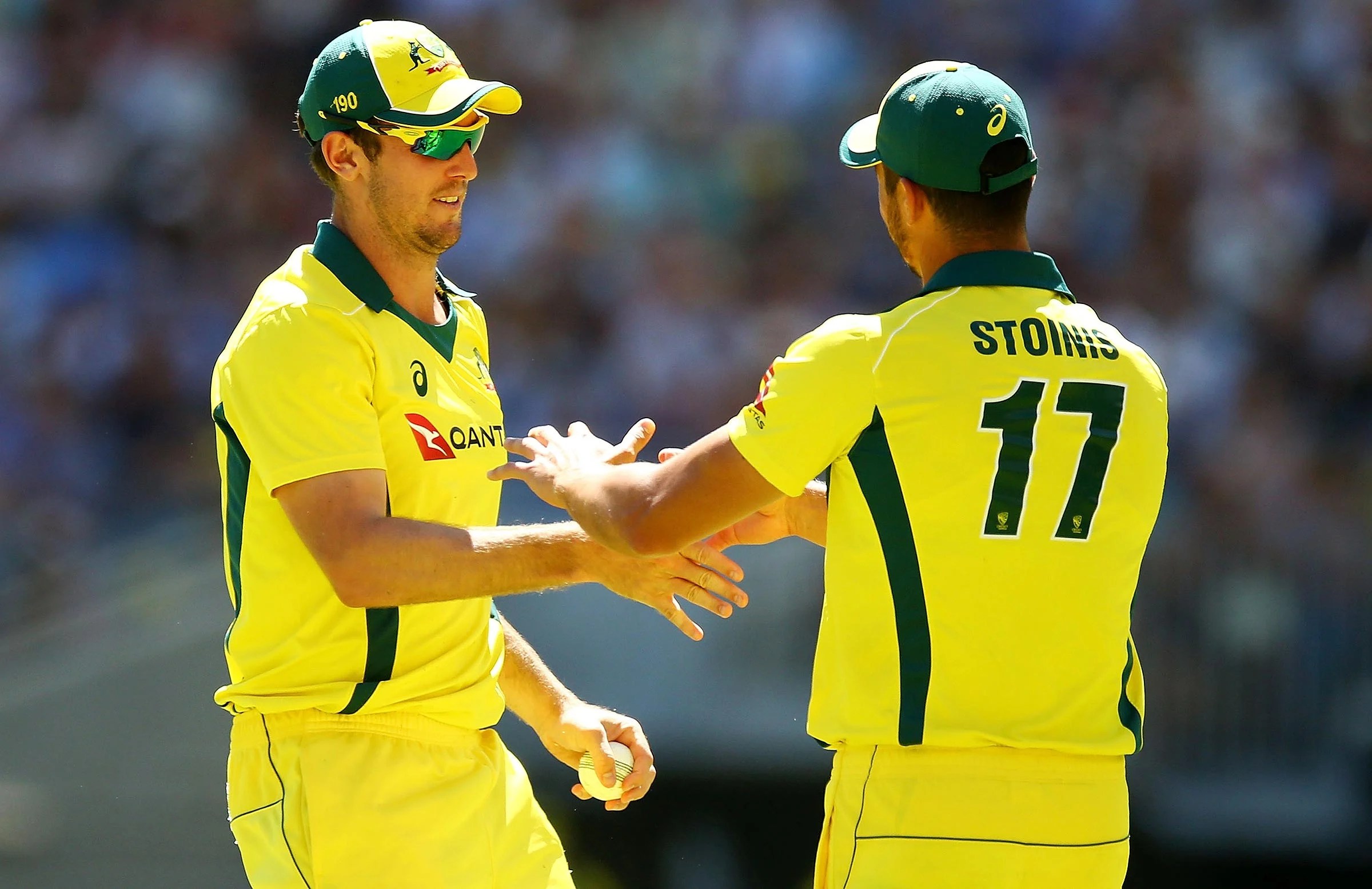 IND vs AUS: Mitchell Starc, Mitchell Marsh, And Marcus Stoinis Have Been Ruled Out Of India-Australia T20 Series