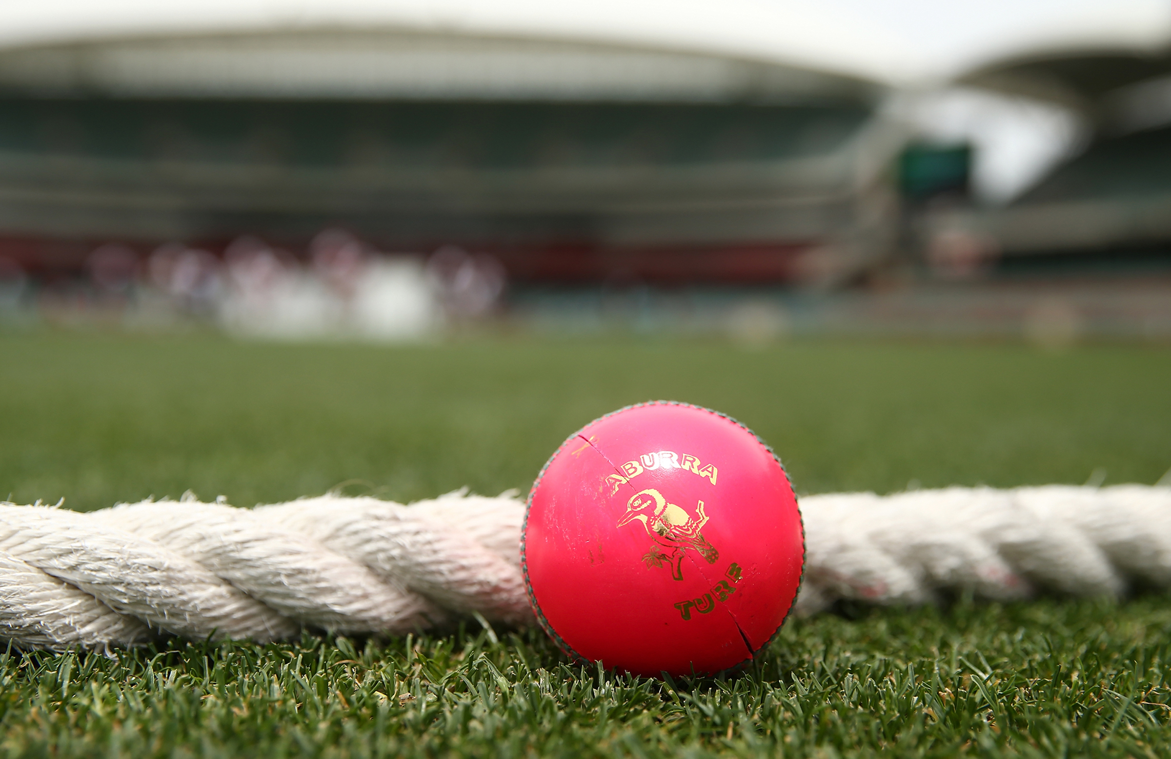 India lock in first day-night Test against Bangladesh