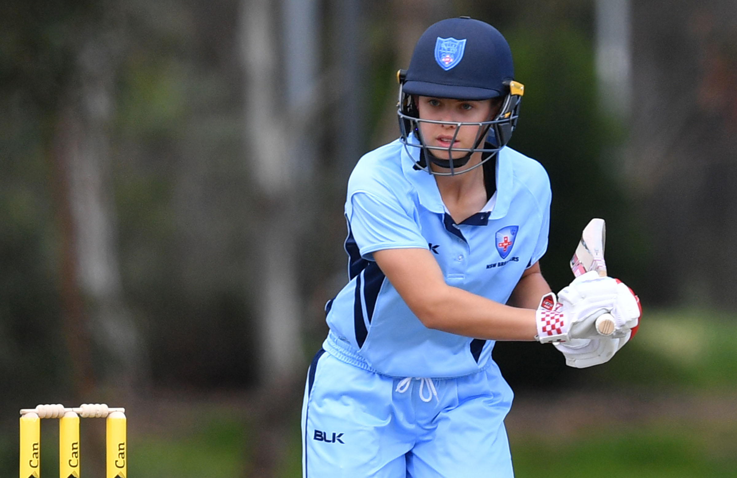 Litchfield's maiden WNCL fifty rescues Breakers