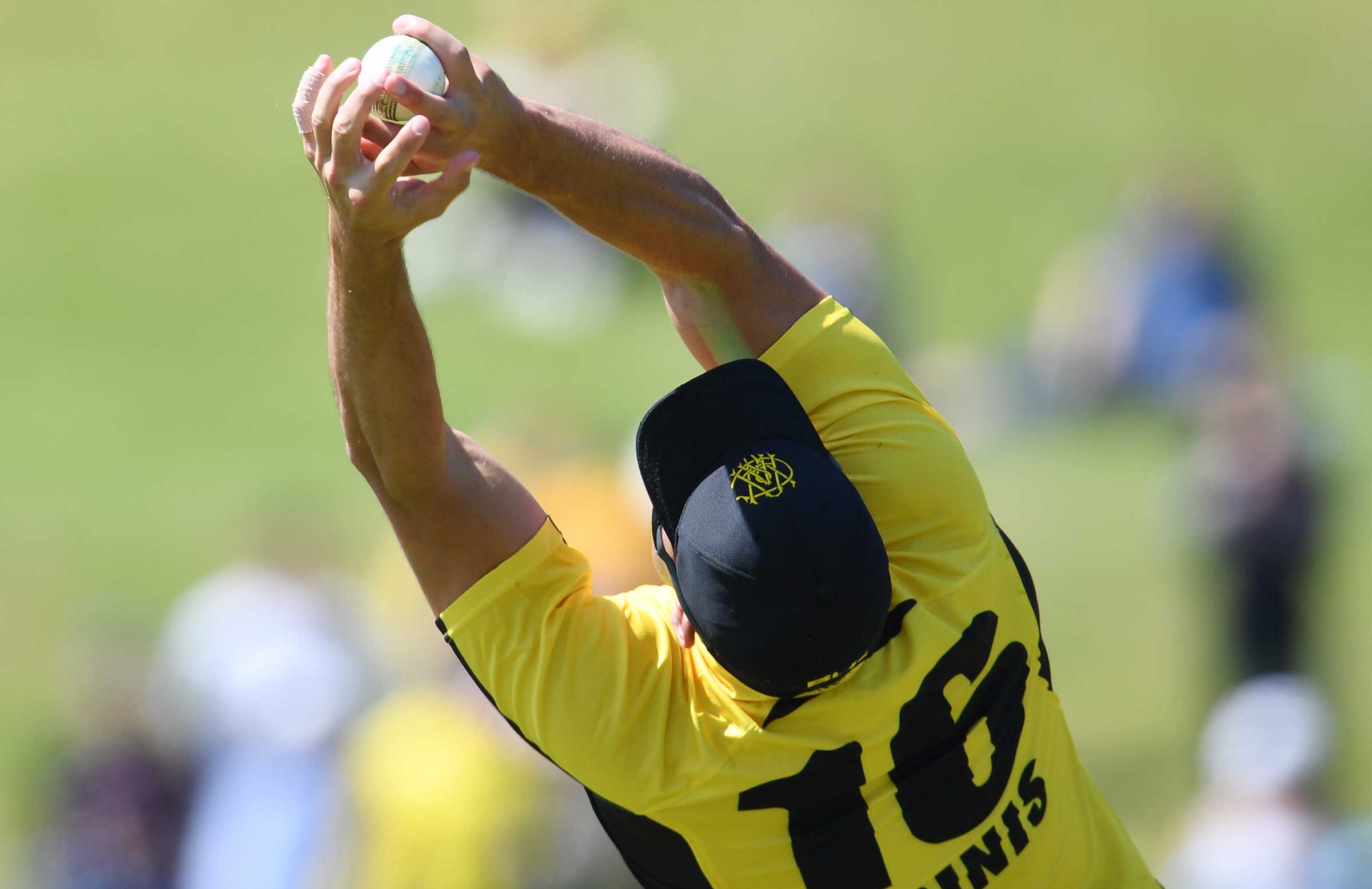 LIVE: WA host Victoria in Marsh One-Day Cup 