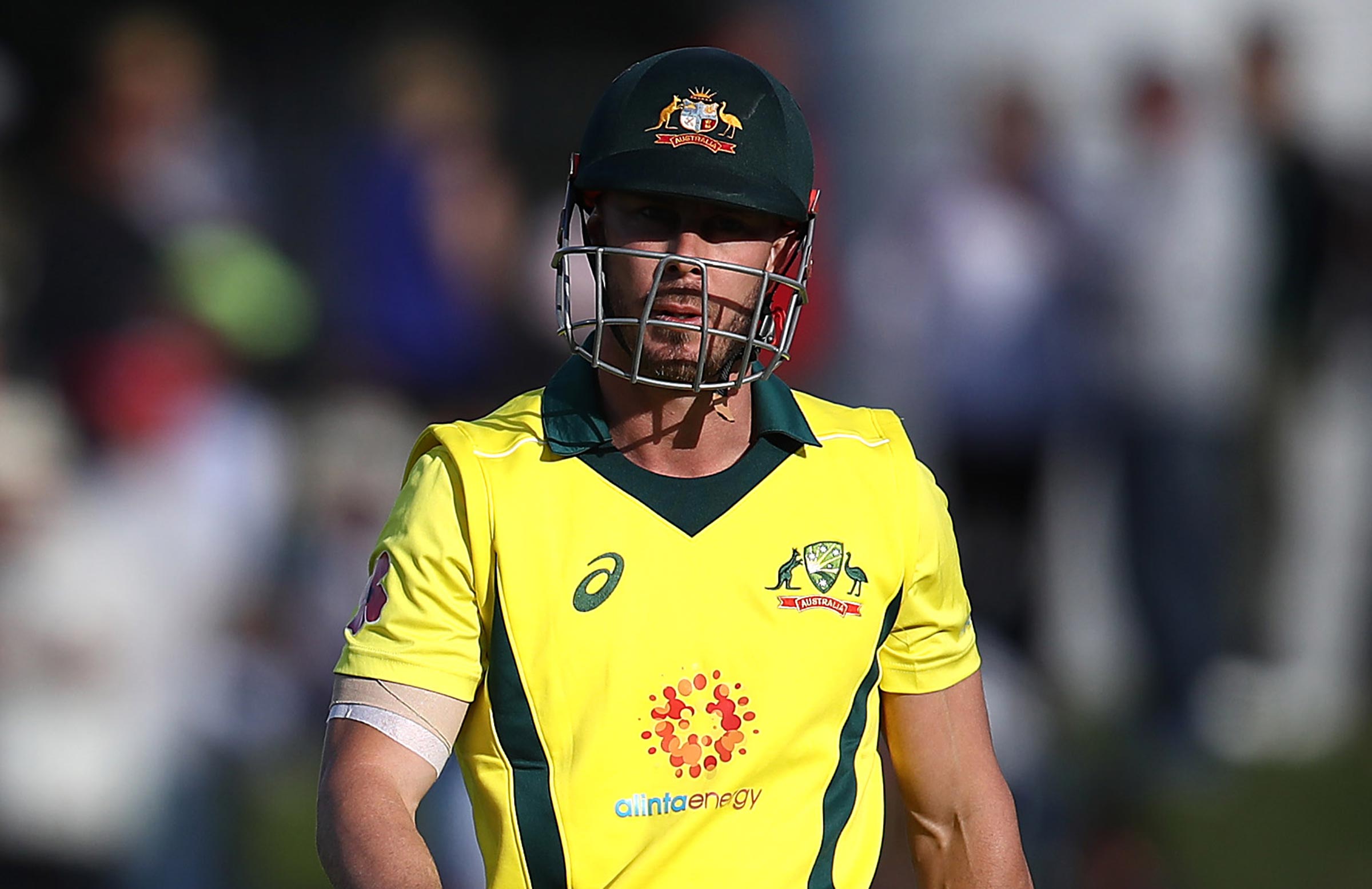 Lynn backed in as regular ODI opener