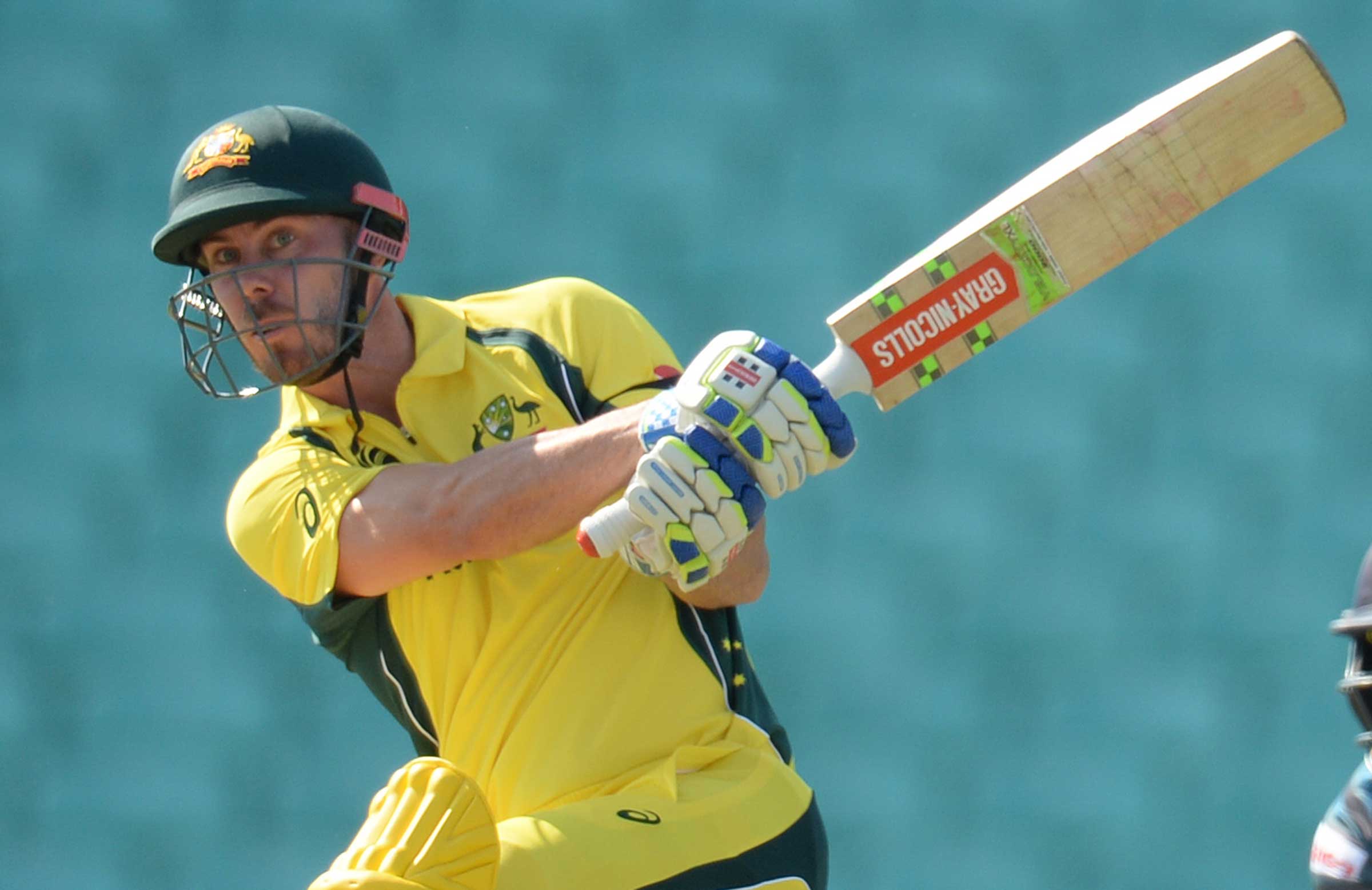 Lynn to chase Cup dream with Bulls