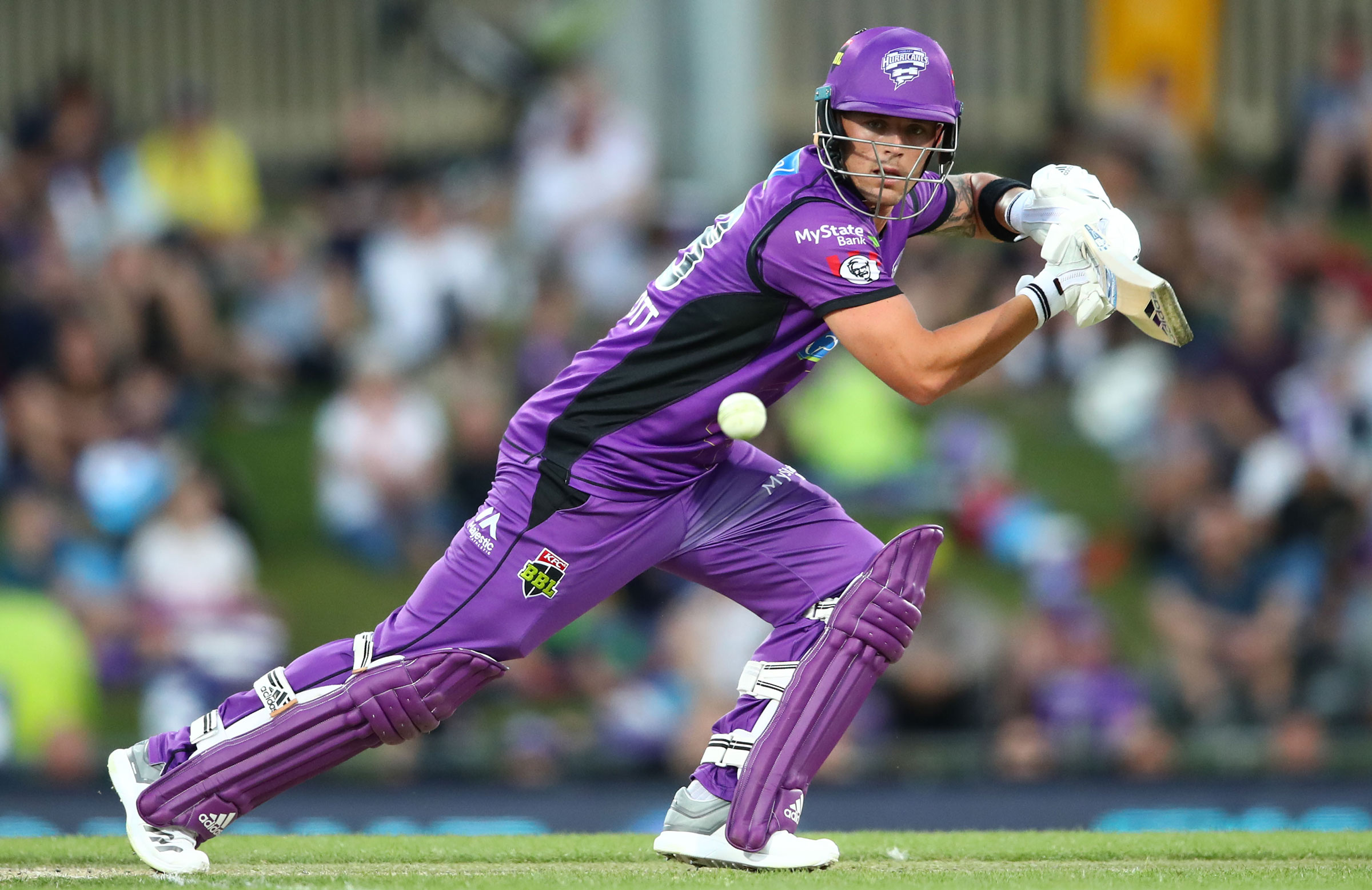 McDermott, Philippe to lead youthful squad in India