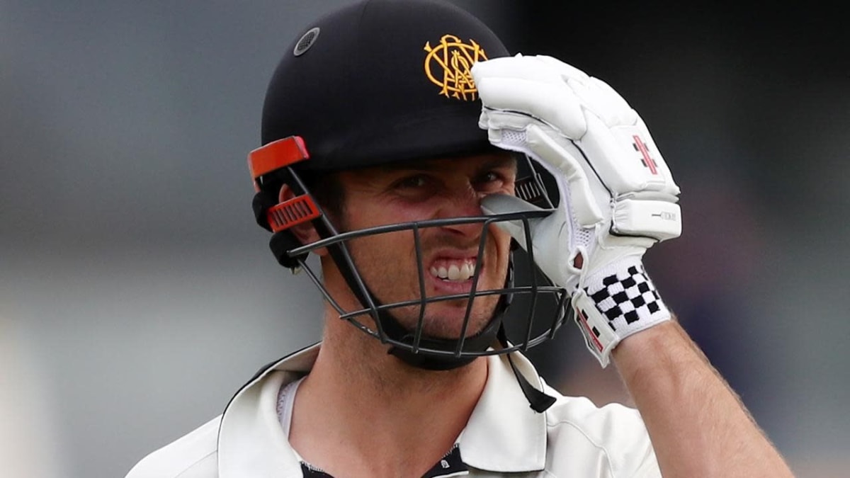 Mitch Marsh repents for moment of madness - Seymour Telegraph
