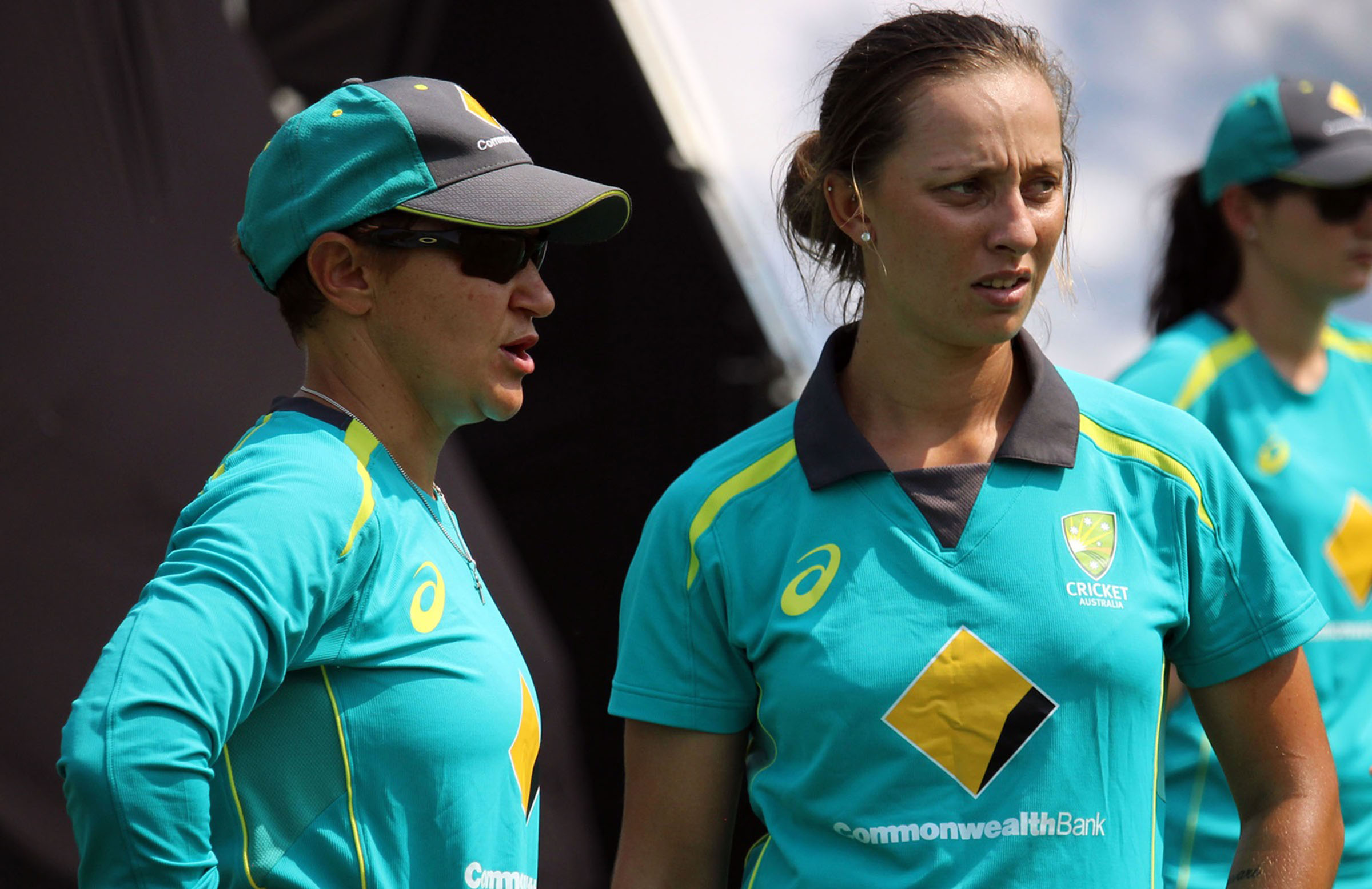 Nitschke named as Perth Scorchers coach