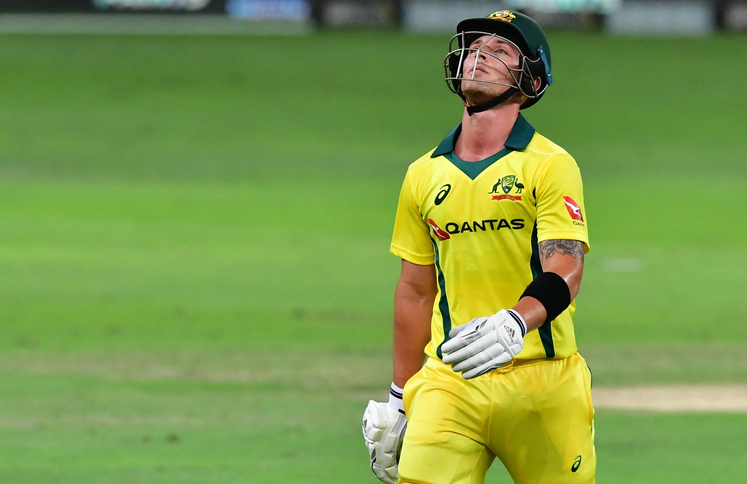One year on, McDermott backed to take his chance