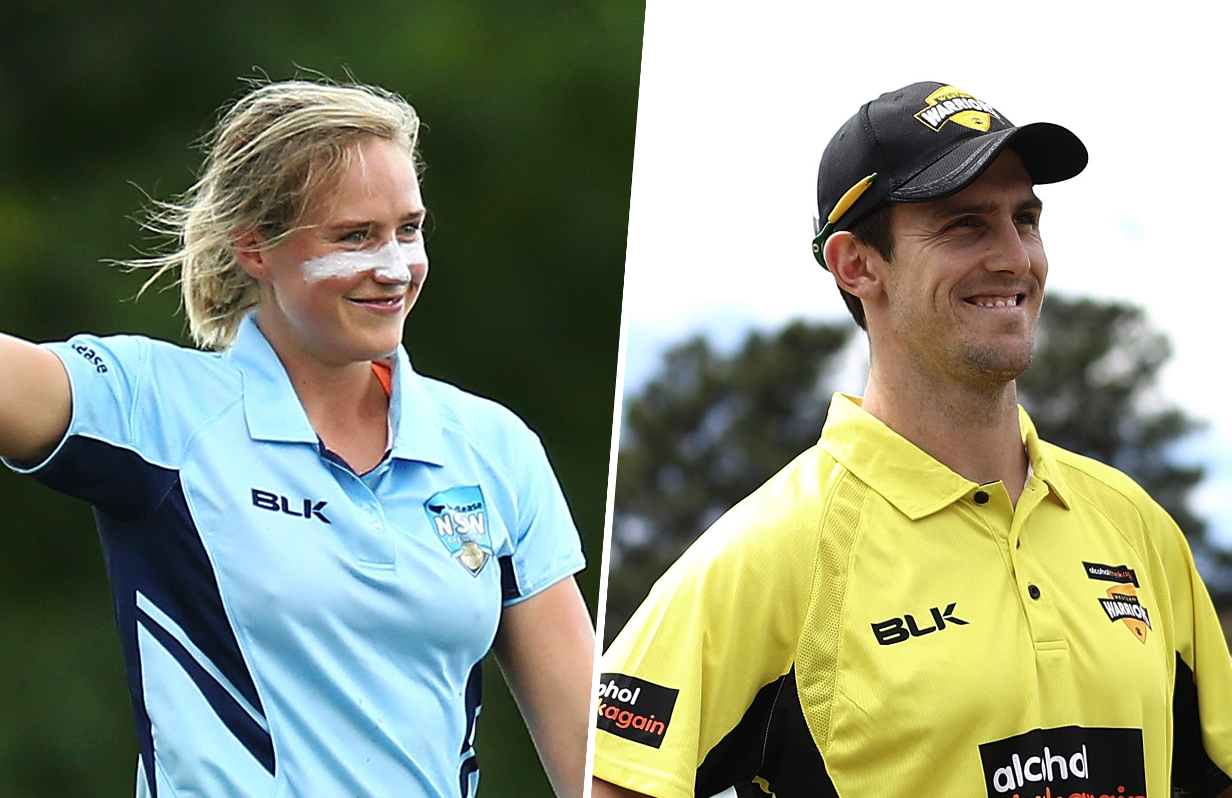 Perry, Marsh take out major state gongs