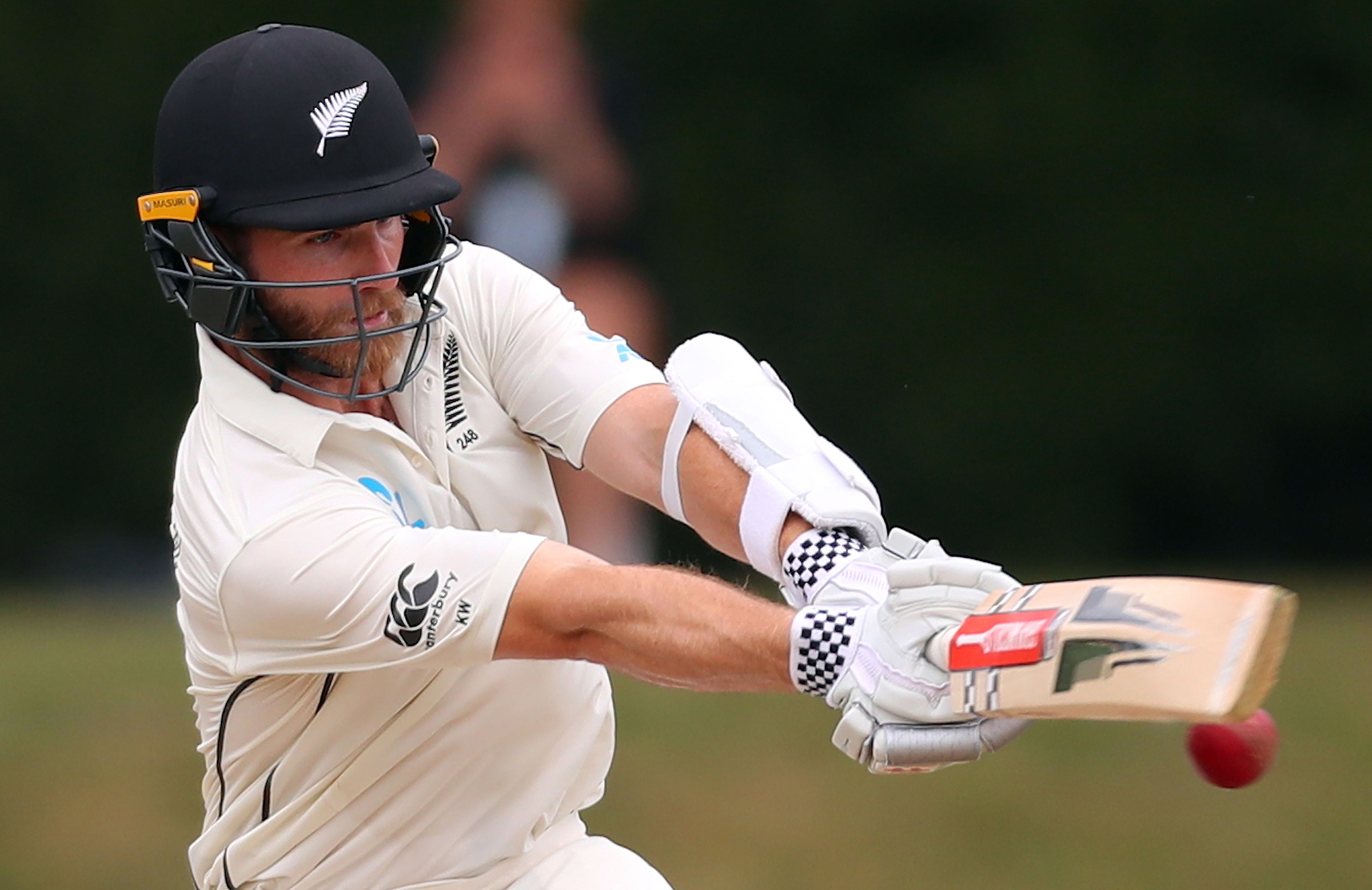 Ponting's verdict on Kiwi batting king Williamson
