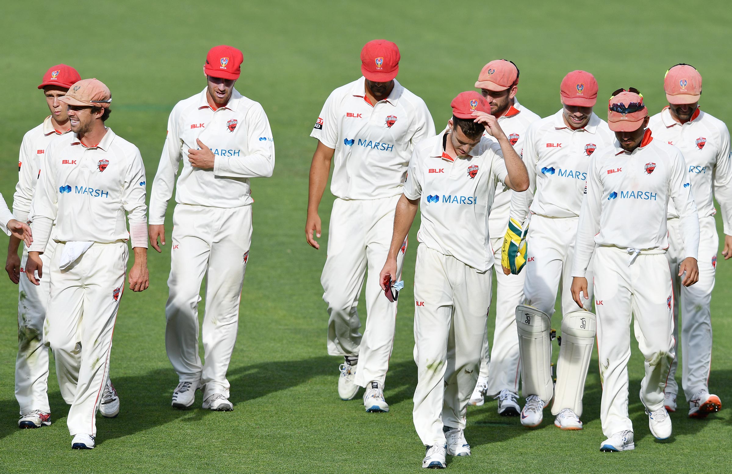 SACA resumes search for new Redbacks head coach