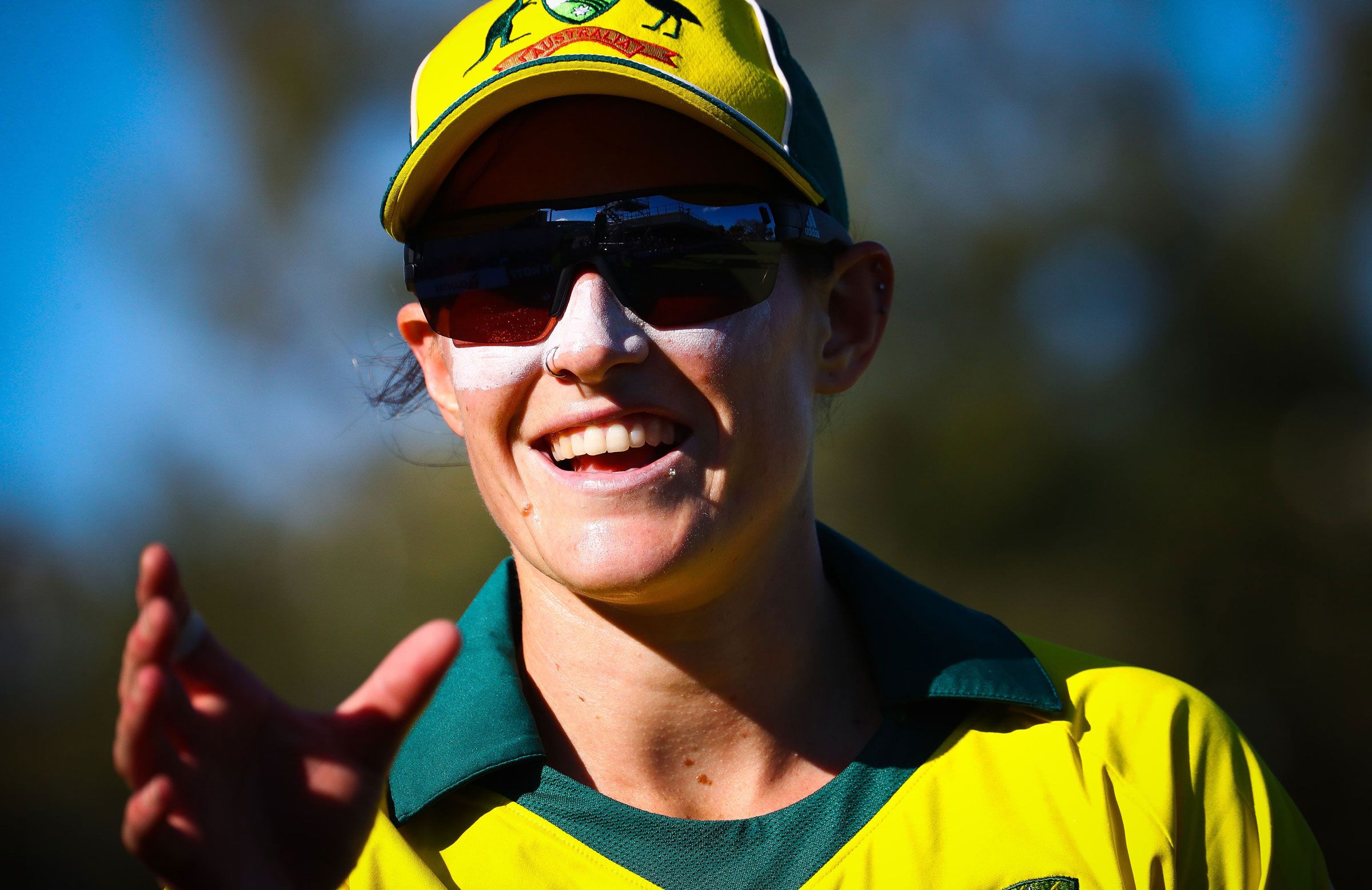 Schutt out to ruin batting paradise