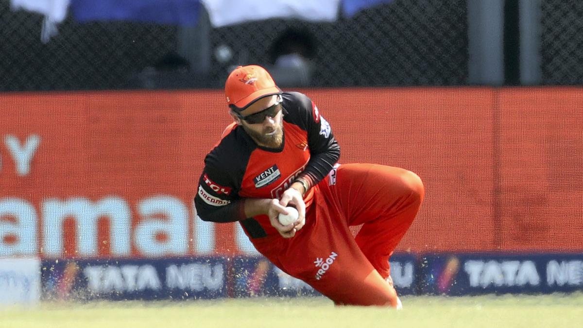 Should SRH retain captain Kane Williamson for 14 crore? Former head coach Tom Moody has his say