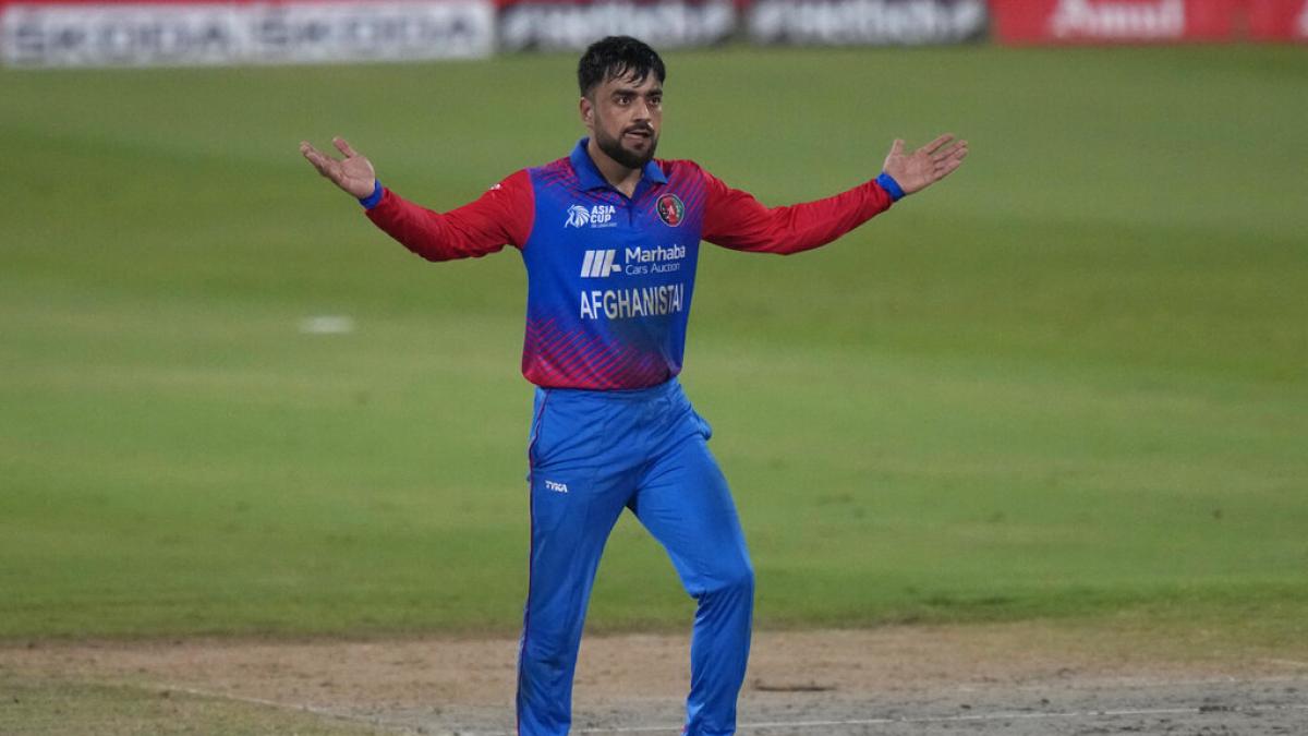 T20 World Cup: Rashid Khan wants positive mindset from Afghanistan after loss against England