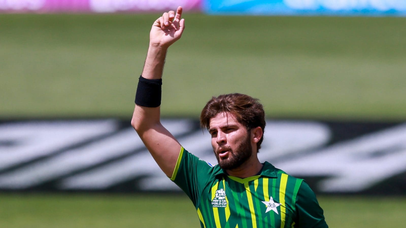 T20 World Cup: Shaheen Afridi Has Got Better And Better, Hopefully the Best is Still to Come - Ricky Ponting
