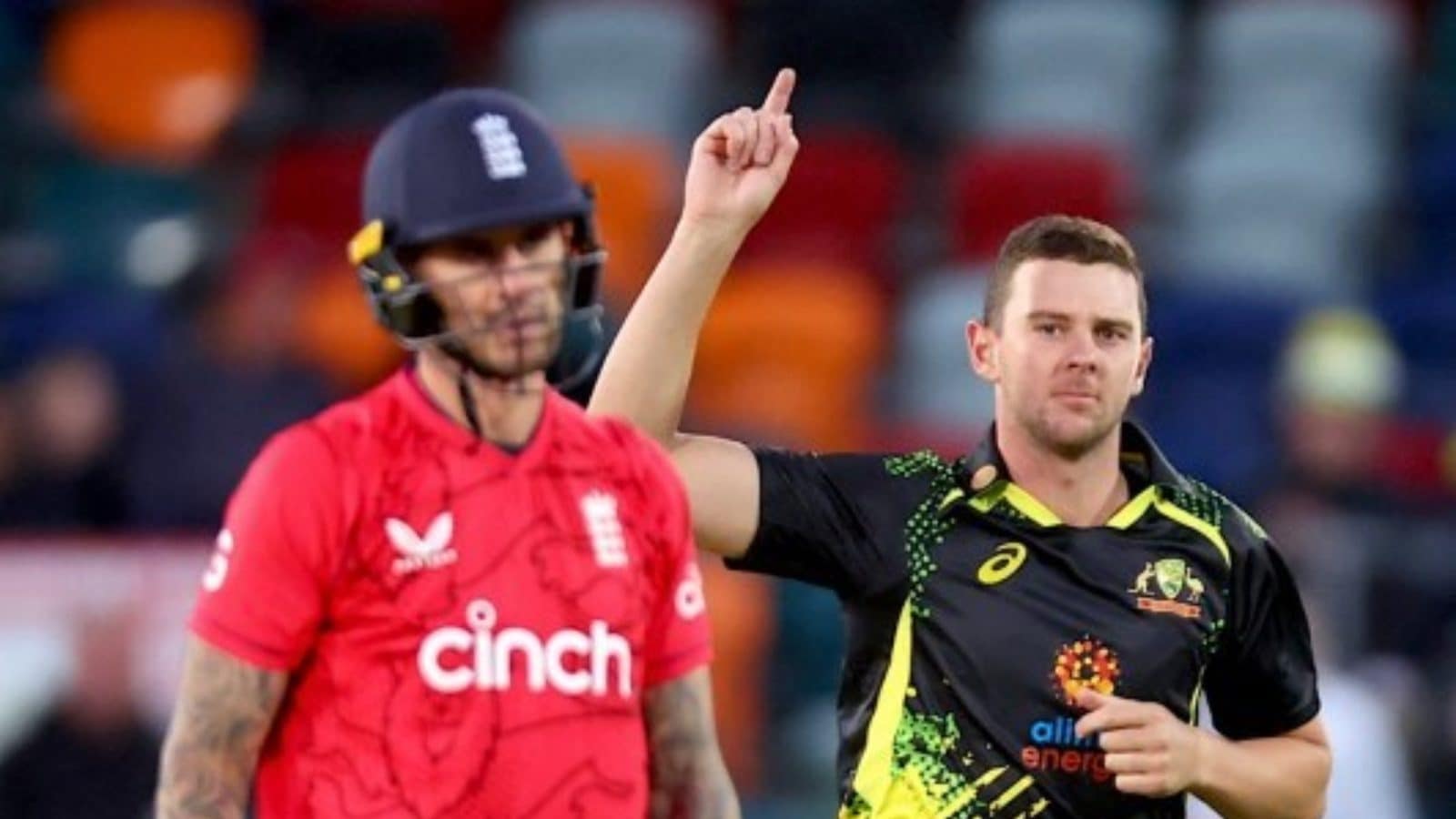 Watch: Josh Hazlewood Dismisses Alex Hales Exactly How Nathan Lyon Predicted On-air During 3rd T20I