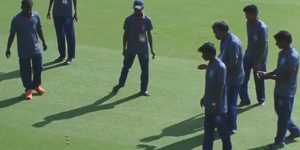 Watch: Snake delays start of Andhra's Ranji Trophy opener against defending champions Vidarbha- Firstcricket News, Firstpost