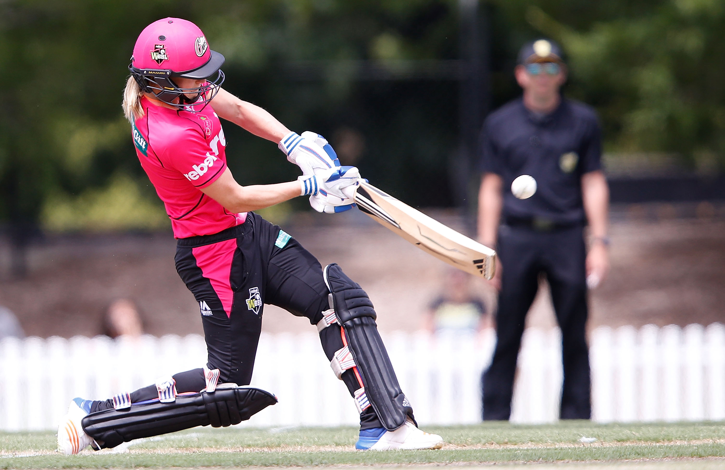 WBBL|03 season by the numbers