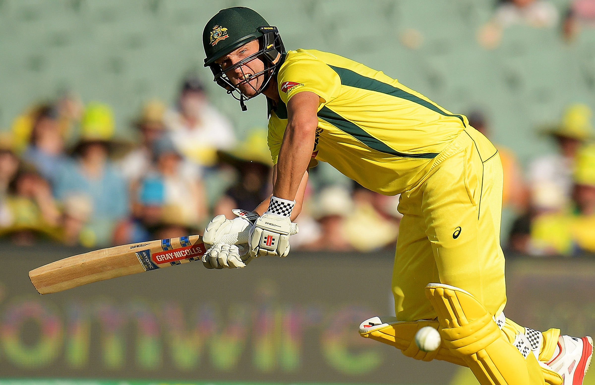 White rues ODI series, Hussey backs new No.3