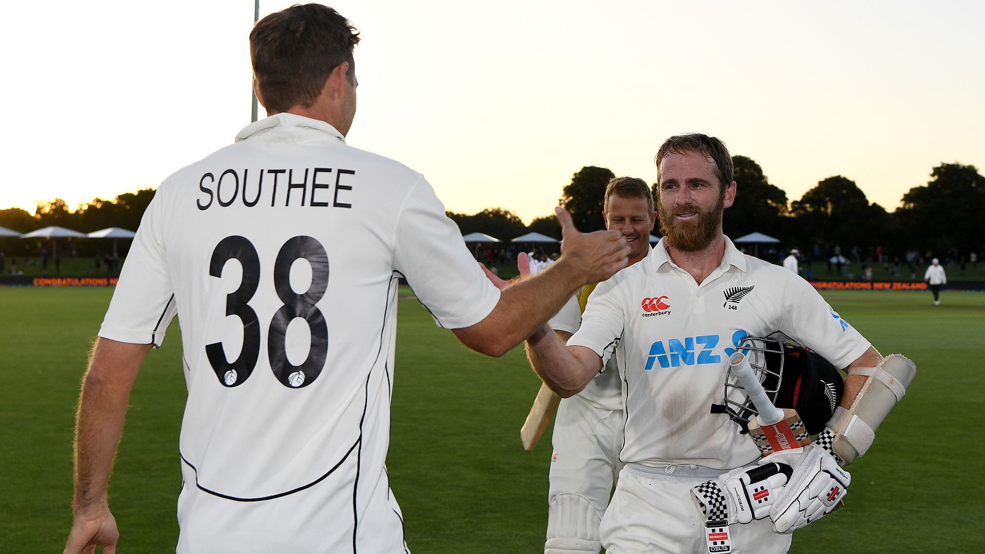 'World-class' Williamson guides New Zealand to another dramatic Test win